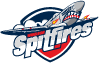 Windsor Spitfires